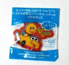 ビッグバード LEDライト