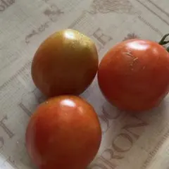 りん様　お取置き