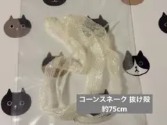 2026年最新】蛇の抜け殻の人気アイテム - メルカリ