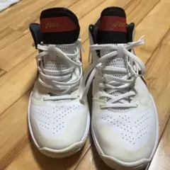 アシックス バスケットシューズ