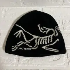 ARC'TERYX ニット帽 ビーニー Bird Head ToqueBLACK