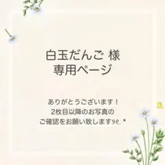 白玉だんご様 おまとめ2点