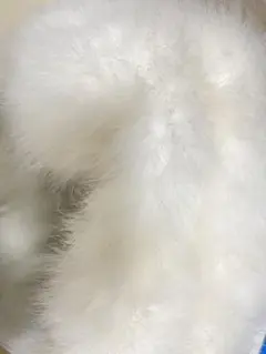 Item thumbnail for item 0f387f6d-2652-4b22-bedf-74440234b179