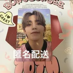 SEVENTEEN エスクプス　CARAT メンバーシップ トレカ