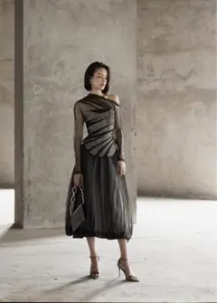 エレガントシースルードレス