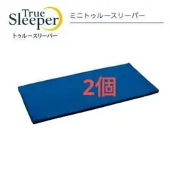 【新品】2枚セット　ミニトゥルースリーパー　ごろ寝マット