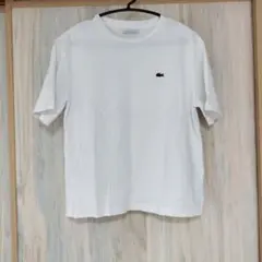LACOSTE ラコステ 半袖 Tシャツ ホワイト 綿100%