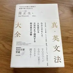 真・英文法大全　書き込みあり