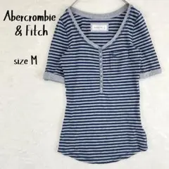 アバクロンビー&フィッチ ヘンリーネック ボーダーTシャツ ムース刺繍 M