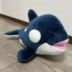 須磨シーワールド シャチ オルカくじ 新色 ショコラデュオカラー 4等