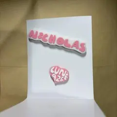 &TEAM andTEAM ニコラス　NICHOLAS トレカ　フォトカード