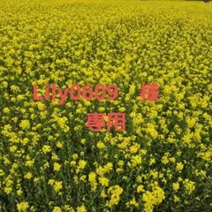 Lily0609　様 専用 　シェリー　cc ナチュラルのサムネイル