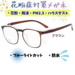 メガネ 花粉症対策 花粉症 花粉 防風 飛沫 黄砂 ブルーライト 紫外線 防水
