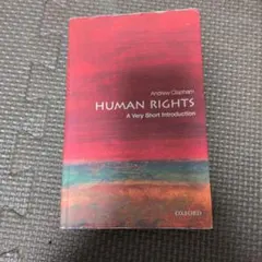 Human Rights A Very Short Introduction