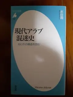 現代アラブ混迷史 水谷周著