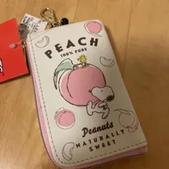 SALE✨スヌーピー リール付きパスケース おまけ付き