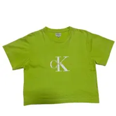 Y2K USA企画 Calvin Klein Jeans クロップド丈 Tシャツ