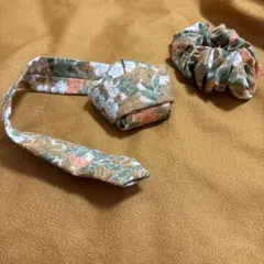 Item thumbnail for item 8b364ae5-1dab-4a4e-a94f-6e3f37b7ace7