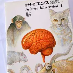 別冊サイエンス　Science Illustrated 4　脳