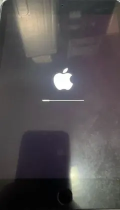 Apple iPad mini 第5世代　箱　フィルム　ケース付き