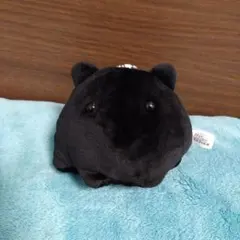 Item thumbnail for item e9376c22-2ace-4dcd-a3d3-d27e5085d02a