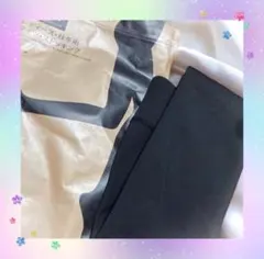 Item thumbnail for item 0b92a571-7b6e-404b-8fbd-7feba3f12b54