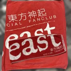 2025年最新】ビギスト タオルの人気アイテム - メルカリ