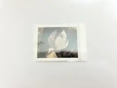 進撃の巨人 ミカサ ぱしゃこれ カード
