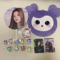 TWICEグッズまとめ売り うちわ うちわケース ファンクラブ継続特典 サナ