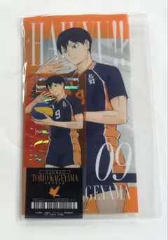 ハイキュー!! 一番くじ I賞 チケットケース&クリアカードセット 影山飛雄