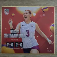 バレーボール女子日本代表2025 mini色紙 石川真佑選手 ver - メルカリ