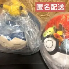 ポケモン　一番くじ　A賞＆B賞