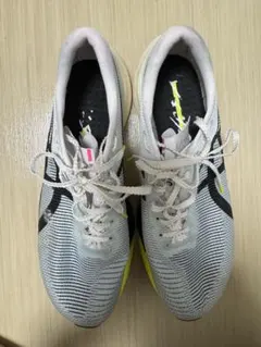 METASPEED EDGE PARIS 26.5メタスピード