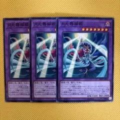 遊戯王 月光舞猫姫 ムーンライトキャットダンサー 3枚セット