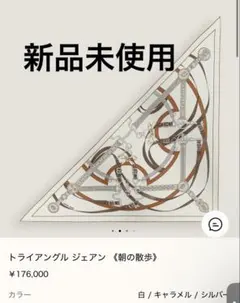 HERMES トライアングル ジェアン 朝の散歩のサムネイル