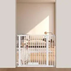 Item thumbnail for item ab373b0a-736a-47d1-a9dd-3e2d24eb89cb