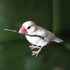 文鳥　オブジェ　白文鳥　置き物　BIRDIE BILL
