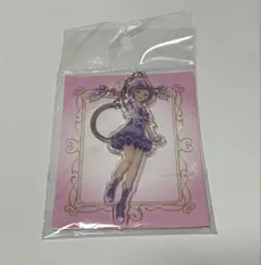 超激レア プリティーリズム いと おとは BIG缶バッジ アクキー セット 超激レア プリティーリズム いと おとは BIG缶バッジ アクキー