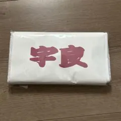 大相撲　応援タオル 宇良