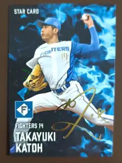 北海道日本ハムファイターズ加藤(金箔サイン入り)山崎野村松本万波田宮カード8枚