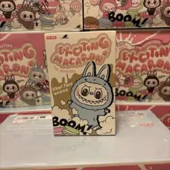 【正規品・未開封】Labubu マカロン enery 2箱セット 正規品・未開封】Labubu Big into Energy 2箱 ラブブ Labubu Big
