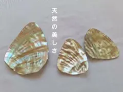わ1　美しく大きいパーツ♪日本海産天然あわび貝殻アクセサリーパーツ3個送料込み♪