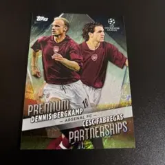 toppspartnership premium ベルカンプセスク・ファブレガス