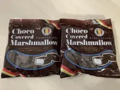 Item thumbnail for item 2e495bd8-cd81-42fd-bc5f-d120f13e66bf