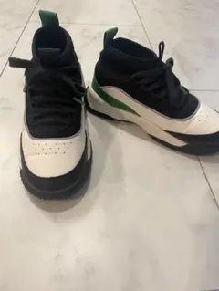 Item thumbnail for item 401e317e-c86b-4c1e-811b-4b90ca002f31