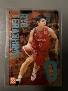 bリーグ トレーディングカード ウエハース 広島ドラゴンフライズ 寺嶋