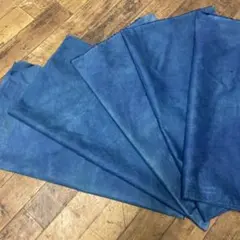 Item thumbnail for item 1362d477-d001-4657-b068-87cb7a1923fb