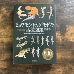 ヒョウモントカゲモドキ品種図鑑