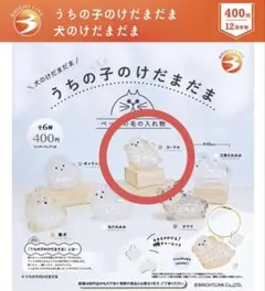 【即購入可】うちの子のけだまだま プードル