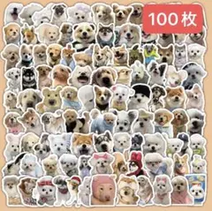 Item thumbnail for item 388e3961-0f38-445e-a71f-ead4f96ff552